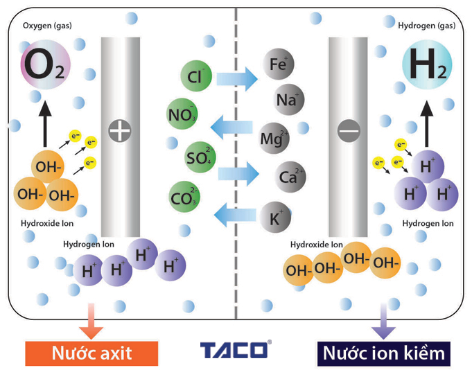 Máy lọc nước ion kiềm